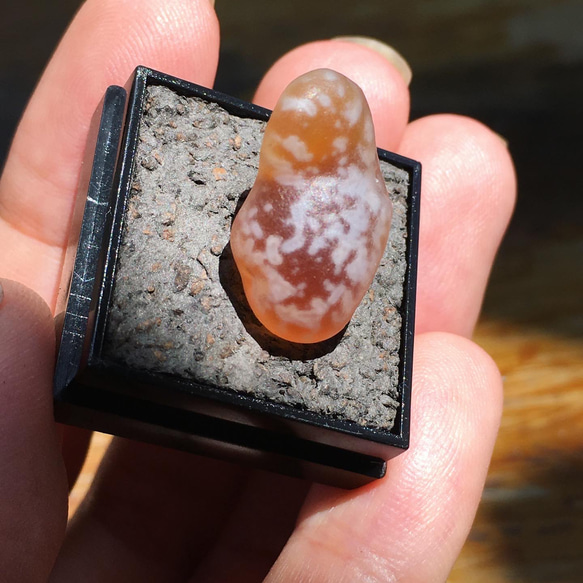 【Lost and find】Gobi Agate | 天然石 糖心 內包裹 花眼 戈壁瑪瑙 原石 小水怪 第4張的照片