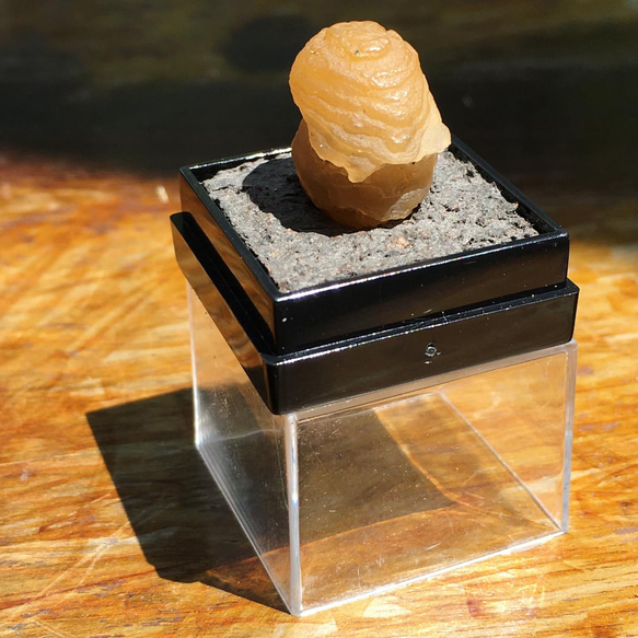 【Lost and find】Gobi Agate | 天然石 玉化 蘑菇 眼石 戈壁瑪瑙 原石 第3張的照片