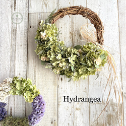 匿名配送】25cm 片品村アナベルとユーカリの ドライフラワー ハーフ