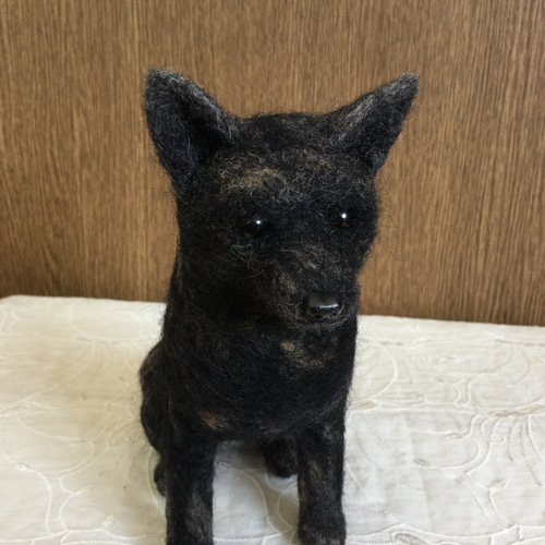羊毛フェルト 甲斐犬 羊毛フェルト masapan 通販 14530956｜Creema