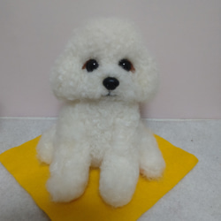 羊毛フェルト犬 チワワ スムースコート ブラックタン 羊毛フェルト か