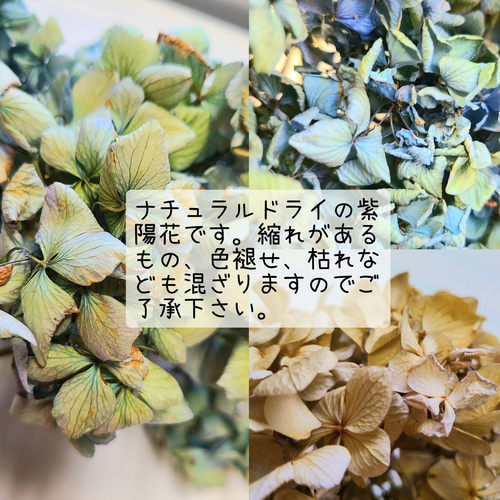 秋色紫陽花とドライオレンジの ナチュラルガーランド ボタニカル