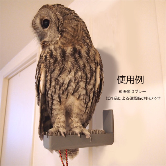 フクロウ放鳥用パーチ　かべでもパーチ　ホワイト 3枚目の画像