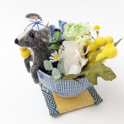 お茶わんこのミニアレンジメント畳付き~イタリアン グレーハウンド