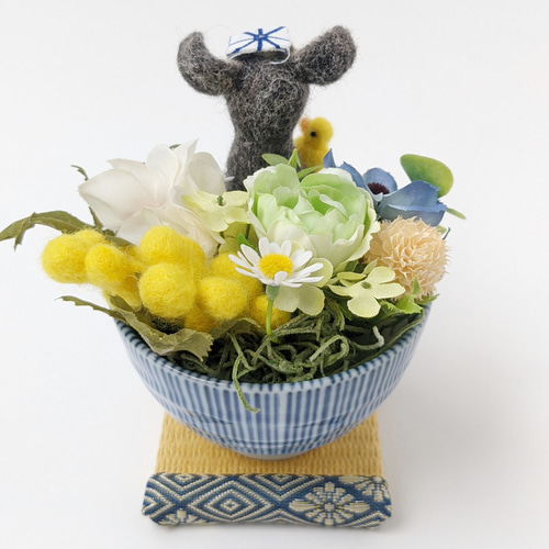 お茶わんこのミニアレンジメント畳付き~イタリアン グレーハウンド