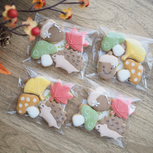 秋っぽデザイン☆バター不使用アイシングクッキー☆ネコポス送料200