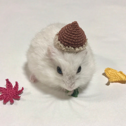 くり帽子　ハムスター⋆小動物⋆ぬいぐるみ 4枚目の画像