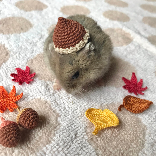 くり帽子 ハムスター・小動物・ぬいぐるみ ペット服・アクセサリー