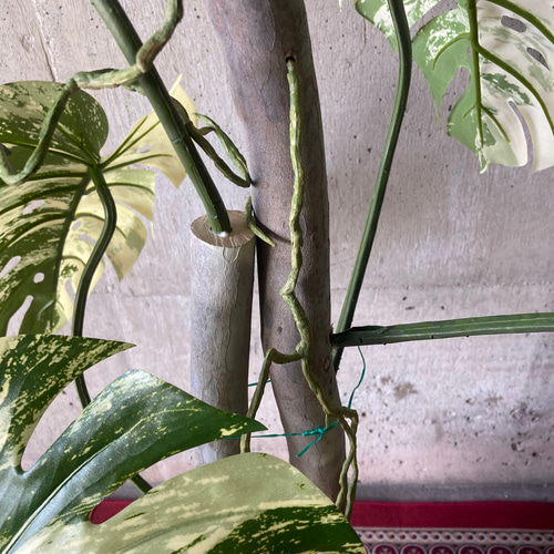 光触媒 人工観葉植物 ウォールグリーン フェイク フラワー 斑入り