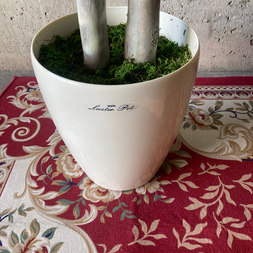 光触媒 人工観葉植物 ウォールグリーン フェイク フラワー 斑入り