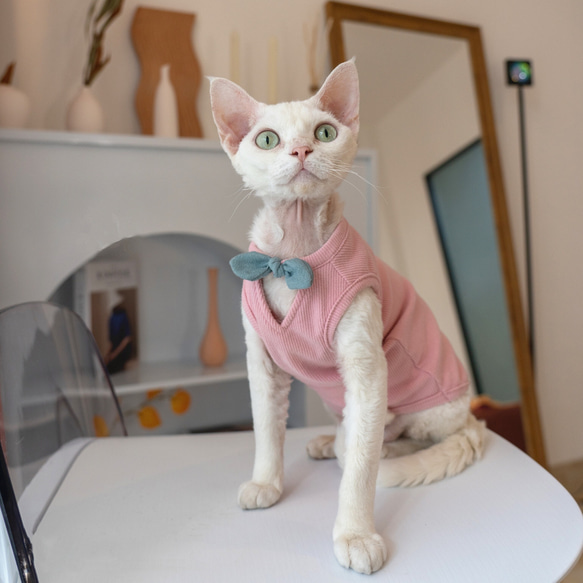 【ピンクの猫　】シャルマントファム ツイードジレ　ピンク metamorphose temps de fille - メタモルフォーゼ新品ピンク、猫