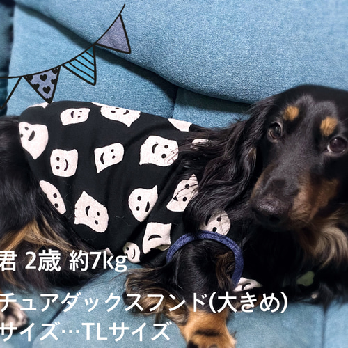 tamago犬服ハンドメイド tamago犬服ハンドメイド b796b32349a79bd5494518468475f7