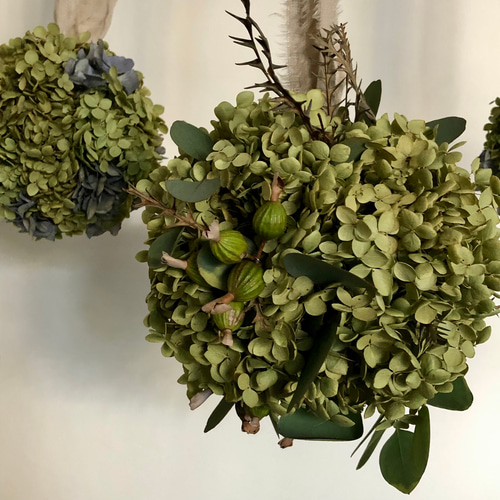 アナベル紫陽花ボール リース アナベル紫陽花ボール リース