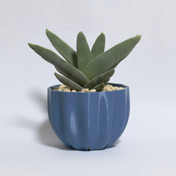 Shell-01 Mサイズ 3Dプリント/3Dプリンター/鉢/3Dプリント鉢/観葉植物