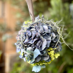 アナベル紫陽花ボール リース アナベル紫陽花ボール リース