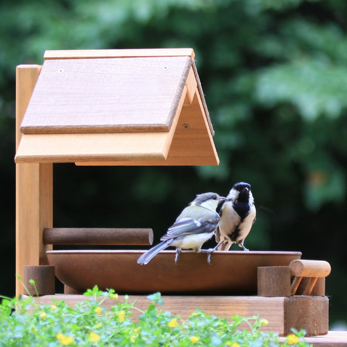 バードアスレチック　インテリア　生花　置物 バードアスレチック インテリア 生花 置物