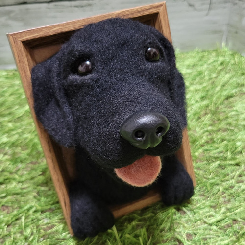 羊毛フェルト ラブラドール 黒ラブ うちの子 愛犬 オーダー ぬいぐるみ
