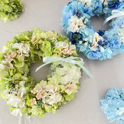 ネイティブフラワー：ドライアンドラ フォルモーサのリース リース