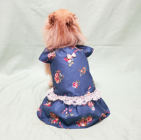 ペット服【オーダー】 ワンピース フリル袖 可愛い わんこ服 犬服 猫服 3枚目の画像