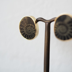 ammonite pyrite brass pierce 10枚目の画像