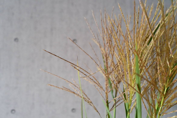 花屋さんからお届け ススキ10本を可愛くラッピングした花束 高さ70cm 秋の長夜を楽しむフラワーギフト 7枚目の画像