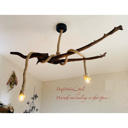 流木インテリア コブと枝の造形美が際立つ天然流木のシーリングライト ペンダントライト LED ランプ 照明器具 北欧 1枚目の画像