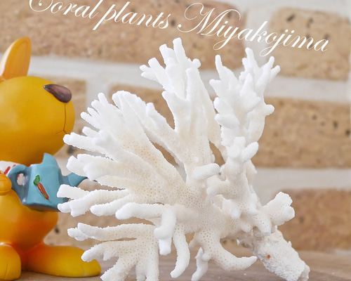 b03363f65893727ffef970a4c359ac