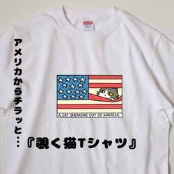 ネコ Ｔシャツ アメリカ国旗からチラッとのぞくネコのTシャツ 1枚目の画像