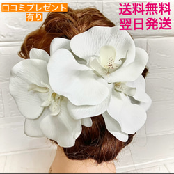 ★送料無料★ 胡蝶蘭　髪飾り結婚式　成人式　ドレス　白無垢　ヘアアクセサリー　ヘッドドレス　金箔　水引き 1枚目の画像