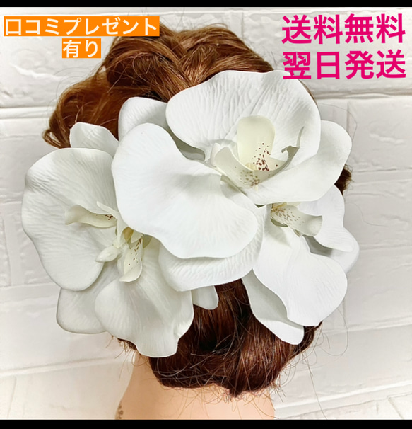 ★送料無料★ 胡蝶蘭　髪飾り結婚式　成人式　ドレス　白無垢　ヘアアクセサリー　ヘッドドレス　金箔　水引き 1枚目の画像