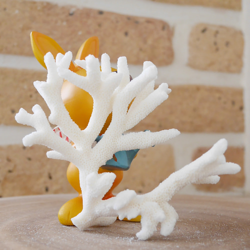 沖縄県宮古島産 天然 サンゴ SS 素材販売 インテリア コーラル 珊瑚 枝