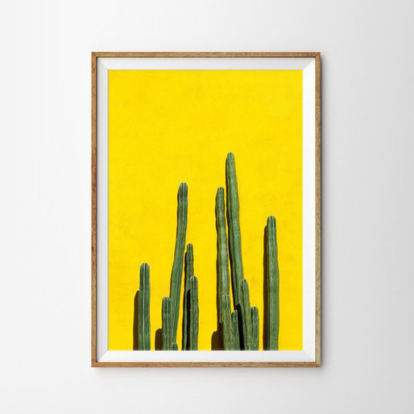 BRIGHT YELLOW CACTUS サボテン ポスター 1枚目の画像