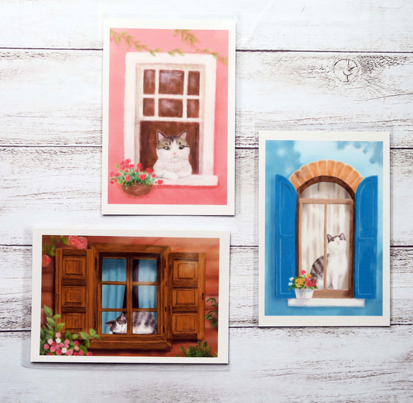 ポストカード3枚セット〈窓辺の猫〉～おしゃれな窓から覗くサバトラ