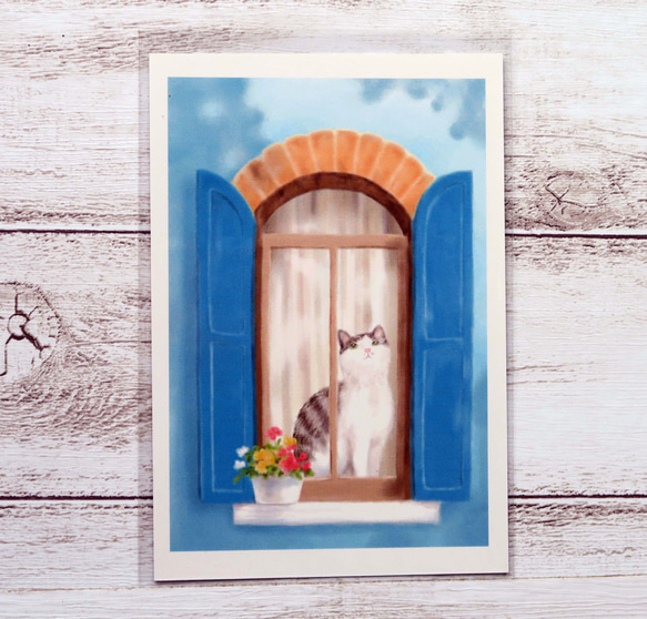 ポストカード３枚セット〈窓辺の猫〉～おしゃれな窓から覗くサバトラちゃん～ 3枚目の画像