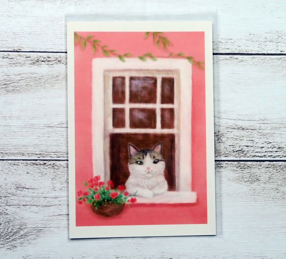 ポストカード３枚セット〈窓辺の猫〉～おしゃれな窓から覗くサバトラちゃん～ 2枚目の画像