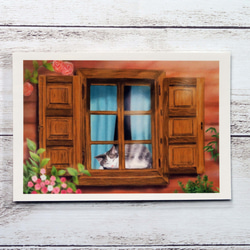 ポストカード３枚セット〈窓辺の猫〉～おしゃれな窓から覗くサバトラちゃん～ 4枚目の画像