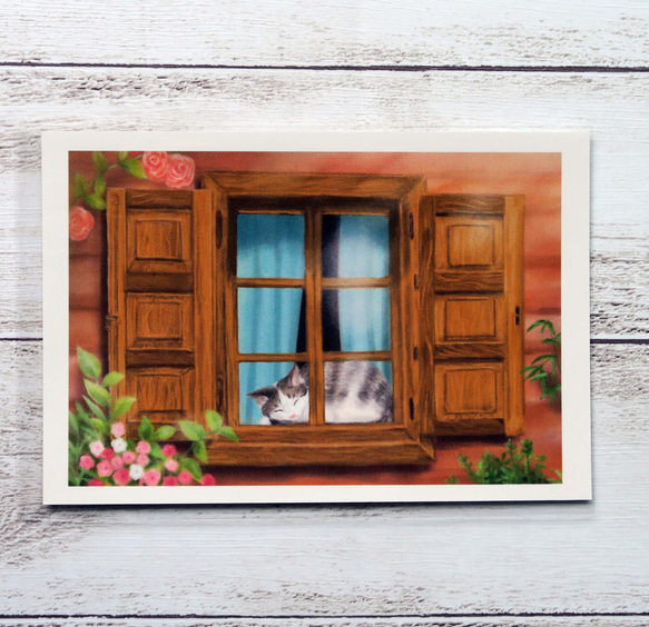 ポストカード３枚セット〈窓辺の猫〉～おしゃれな窓から覗くサバトラちゃん～ 4枚目の画像