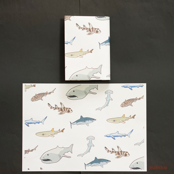 紙書封面鯊魚（彩色）（5 套） 第8張的照片