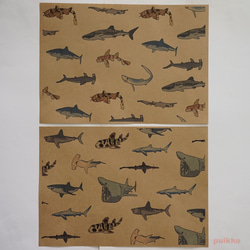 紙書封面鯊魚（彩色）（5 套） 第3張的照片