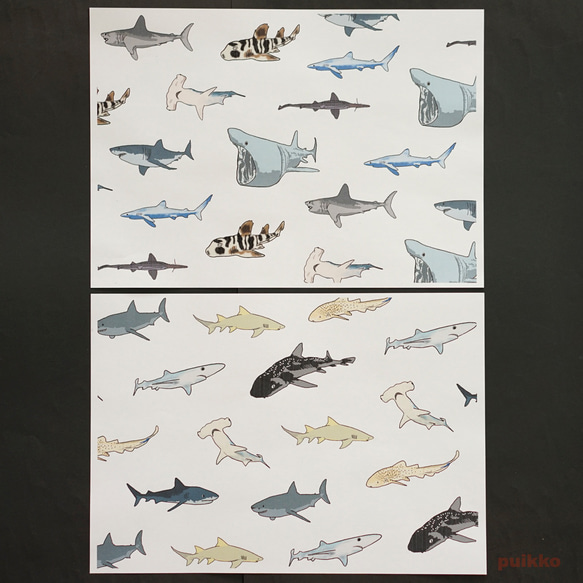 紙書封面鯊魚（彩色）（5 套） 第6張的照片