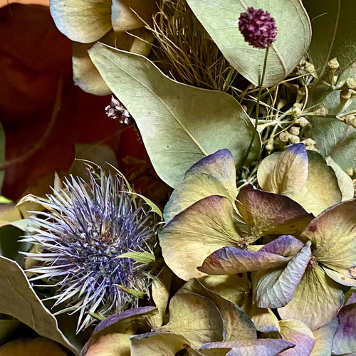 楽天市場】千日紅とミナヅキのリース ◇ ドライフラワー ◇ ピンクの