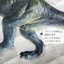 リアル恐竜な入園セット roaring Tricera! トリケラトプス 大きめサイズ 名前入り 男の子 レッスンバッグ 5枚目の画像