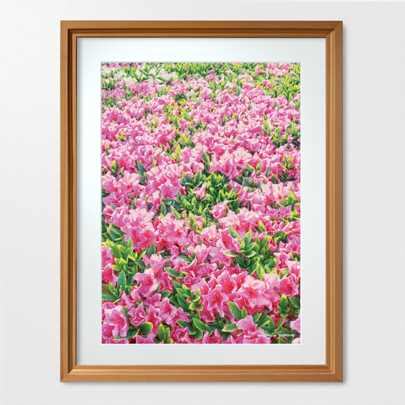 未使用 ArtDeli アート ポスター 自然 植物花系 まとめて 8個 未使用