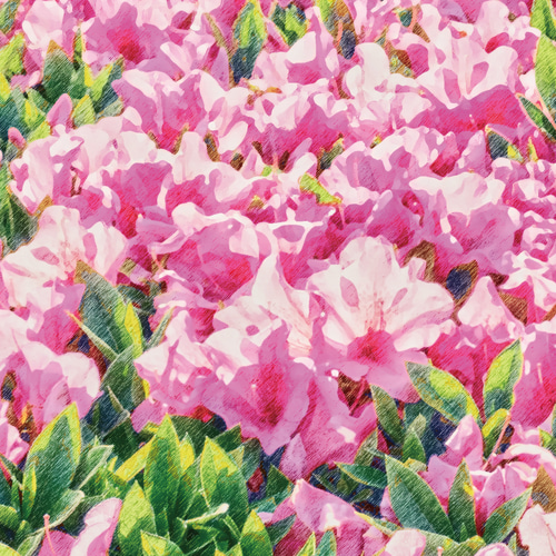 未使用 ArtDeli アート ポスター 自然 植物花系 まとめて 8個 未使用