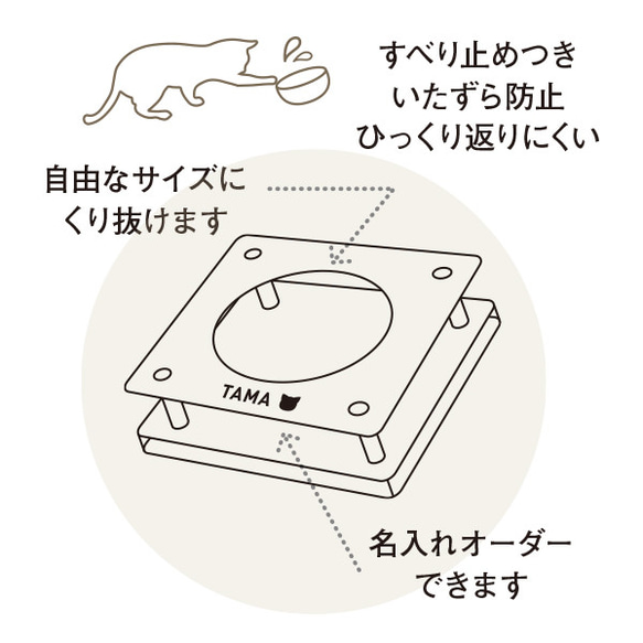  第2張的照片