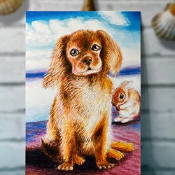 犬のポストカード　ちょこっとうさちゃん　同柄ポストカード2枚セット 2枚目の画像