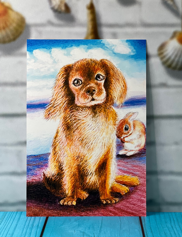犬のポストカード　ちょこっとうさちゃん　同柄ポストカード2枚セット 2枚目の画像
