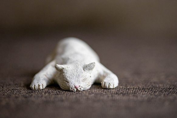 伸び寝の白猫【猫_503】 3枚目の画像