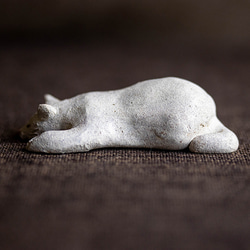 伸び寝の白猫【猫_503】 10枚目の画像