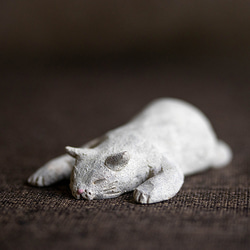 伸び寝の白猫【猫_503】 2枚目の画像
